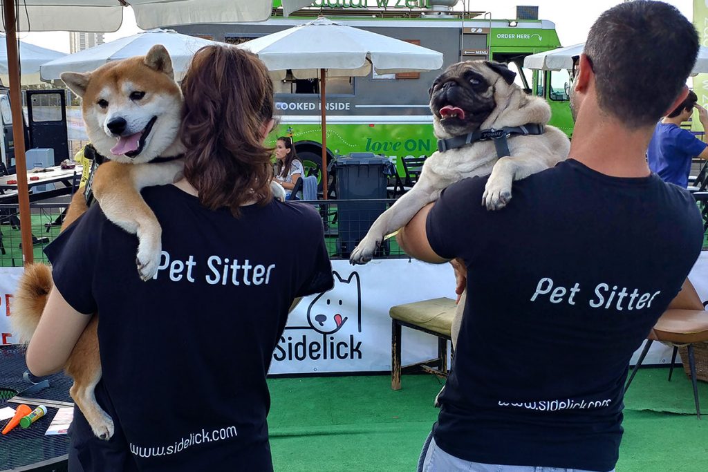 Why Hire A Pet Sitter 1024x683 