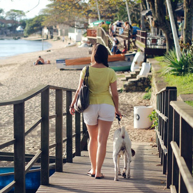 dog beach lebanon