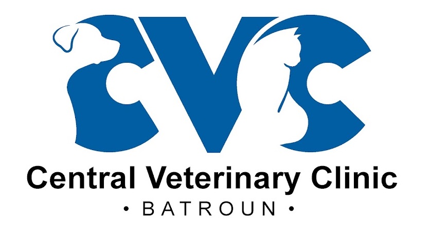 24/7 emergency veterinarian lebanon